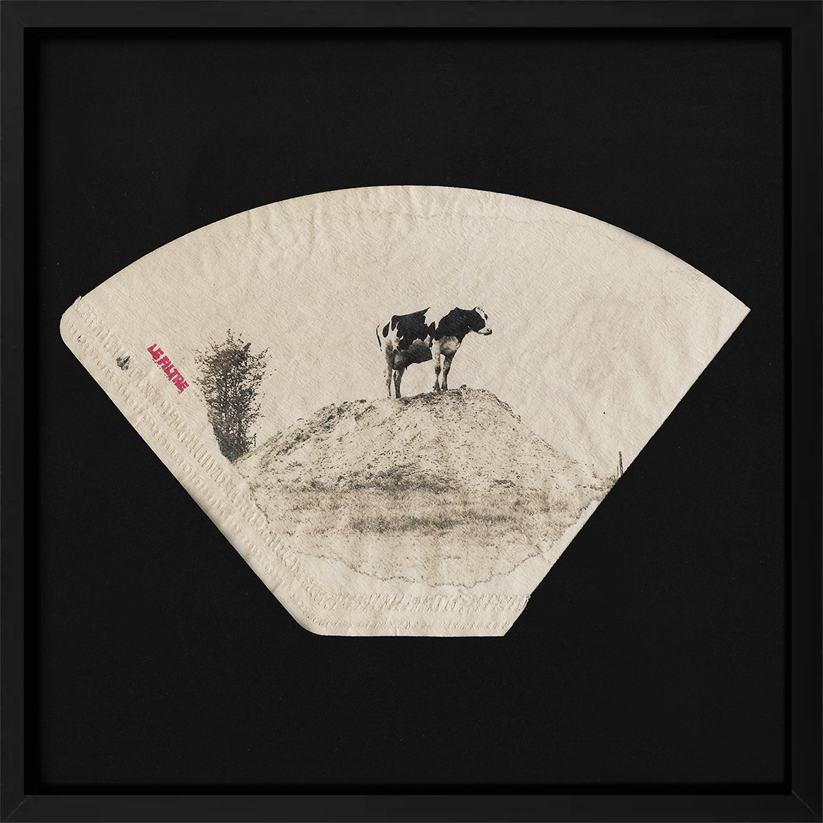 VACHE PERCHEE